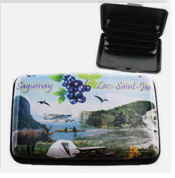 PORTE-CARTES PLASTIQUE / SCÈNE SAGUENAY LAC-SAINT-JEAN