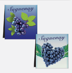 SIGNET BLEUETS LAC-SAINT-JEAN