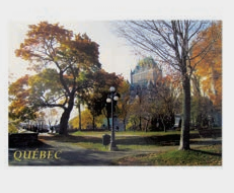 CARTES POSTALES VUE CHÂTEAU ET PARC AUTOMNE