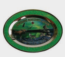 AIMANT ASSIETTE MÉTAL AURORES BORÉALES VERT