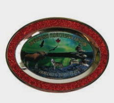 AIMANT ASSIETTE MÉTAL AURORES BORÉALES ROUGE