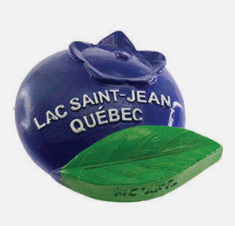 AIMANT BLEUET RÉSINE