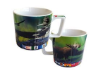 Tasse Aurores Boréales