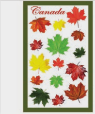 LINGE DE VAISSELLE AVEC FEUILLES D'ÉRABLE CANADA