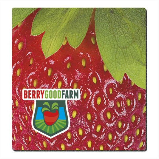 Produit promotionnel 1/16" Fabric Surface Mouse Pad (7-1/2" x 8")