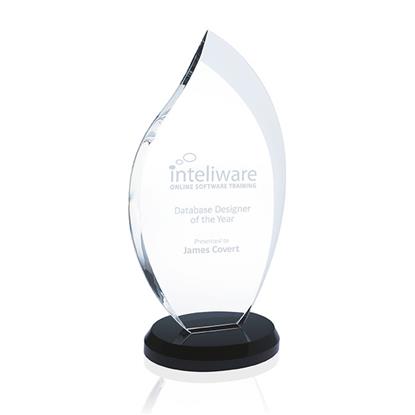 Produit promotionnel Innovation Award - Medium
